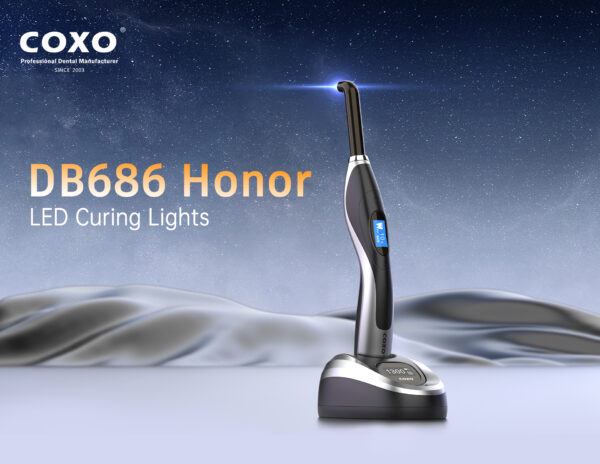 لایت کیور بی سیم Coxo - Honor