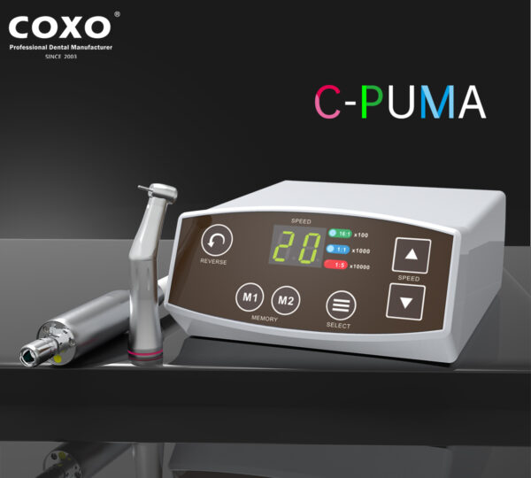 موتور الکتریکی Coxo - C-PUMA