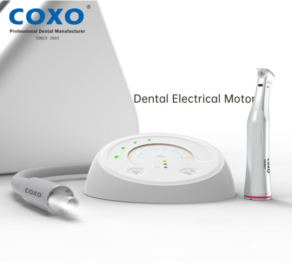 موتور الکتریکی Coxo - C-PUMA Mini